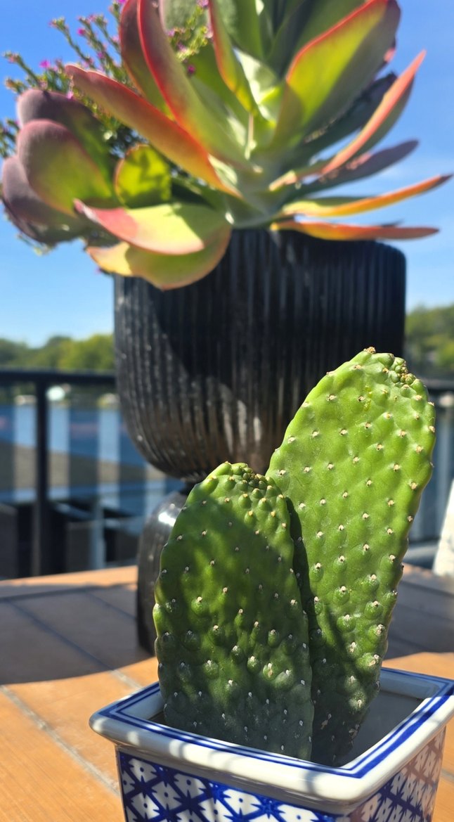 Gifts from parents