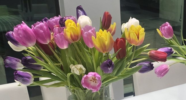 Tulips