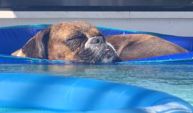 Naps